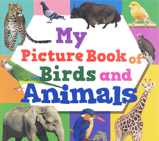 Learning is Fun. 2-IN-1 PUZZLES AND PICTURE BOOK - BIRDS & ANIMALS