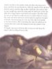 Picture of BIBLE STORIES-DANIEL IN THE DEN OF LIONS
