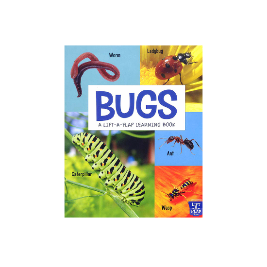 Picture of LIFT-A-FLAP LEARNING BOOK - BUGS