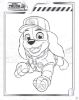 Picture of NICKELODEON PAW PATROL 16PP ACTIVITY BOOK-BIG TRUCKS