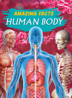 Picture of AMAZING FACTS-HUMAN BODY