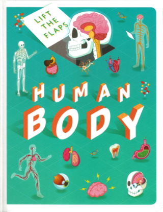 Picture of LIFT THE FLAPS-HUMAN BODY